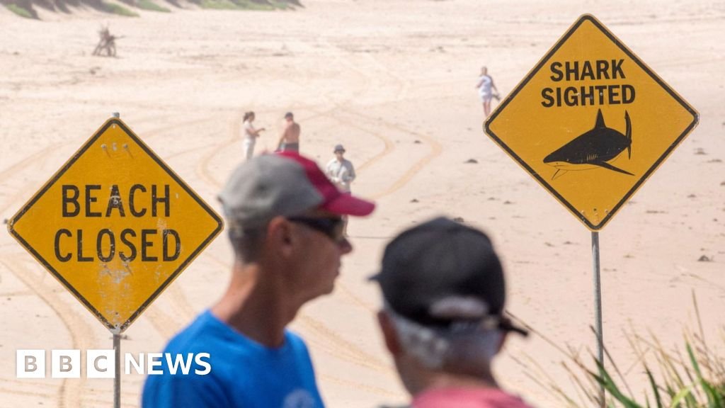 Man seriously injured in Sydney’s third shark attack in two days