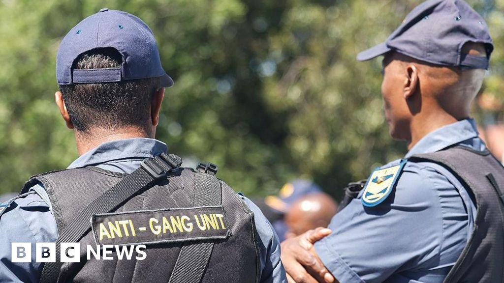 Firoz Cachalia says police not able to defeat gangsters