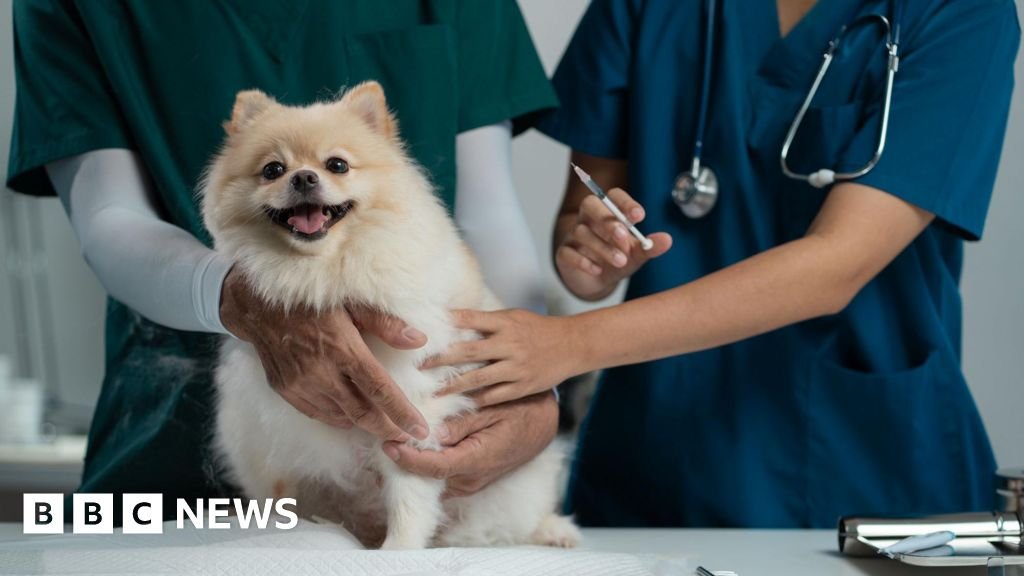 Vets may have to publish prices of common treatments in government plans