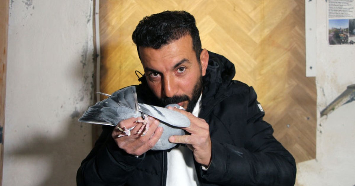 ‘Evladım’ dediği güvercinini bulana 75 bin TL ödül verecek