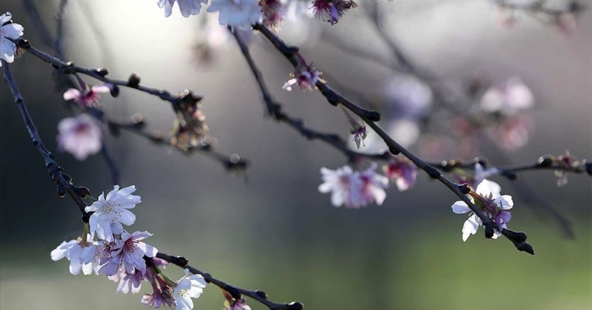 2026 ilk Cemre ne zaman düşecek? Cemre havaya, suya ve toprağa düşme tarihleri