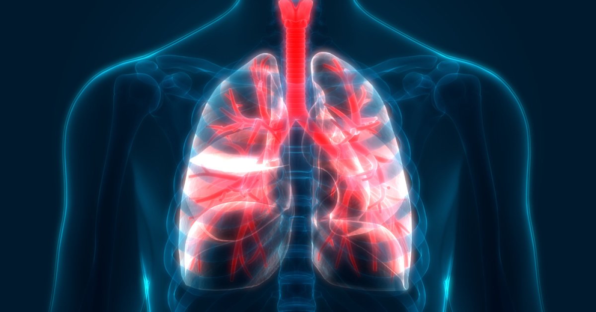 Bu belirtiler akciğer sönmesine işaret! – Haberler