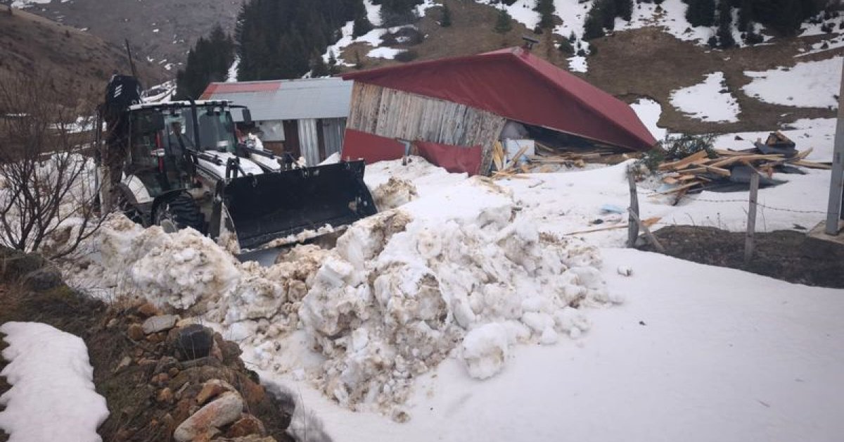 Ordu’da evin üzerine çığ düştü!