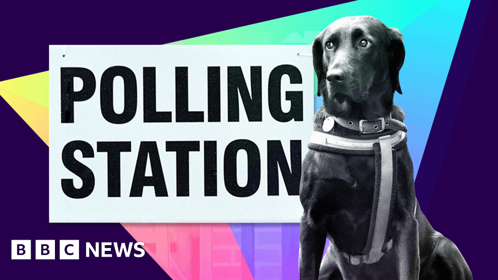 Which elections are taking place in England, Scotland and Wales on 7 May?