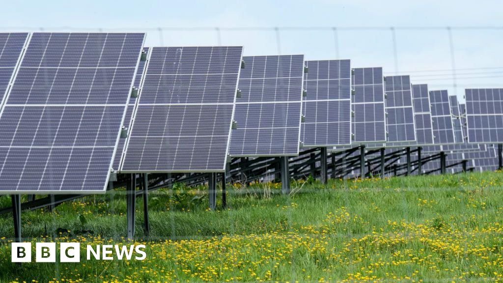 More solar farms on the way after record renewables auction